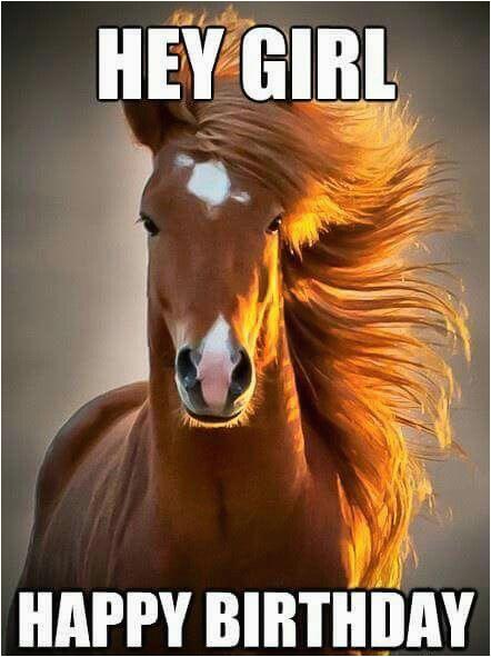 Funny Horse Birthday Memes Horse Birthday Girl Wish