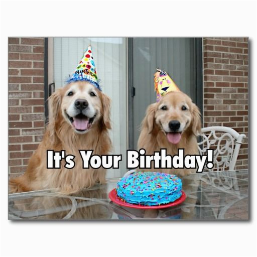 Golden Retriever Birthday Memes Golden Retriever Happy Birthday Cake Postcard Zazzle Com