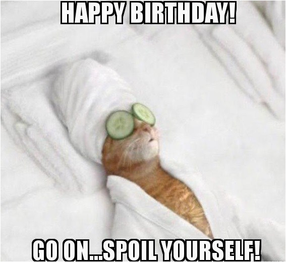 Happy Birthday Memes Cute 20 Adorbs Happy Birthday Cat Memes Sayingimages Com