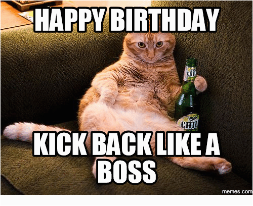 Happy Birthday Memes for Boss 20 Cat Birthday Memes that are Way too Adorable