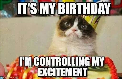 It S My Cat S Birthday Meme Grumpy Cat Birthday Birthday Pinterest Best Grumpy