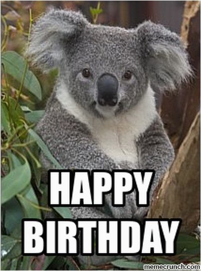 Koala Birthday Meme Happy Birthday Koala