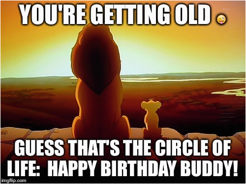 Lion King Birthday Meme Lion King Meme Imgflip