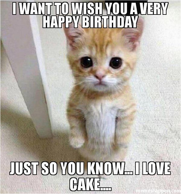 Loving Birthday Memes Happy Birthday Memes Images About Birthday for Everyone