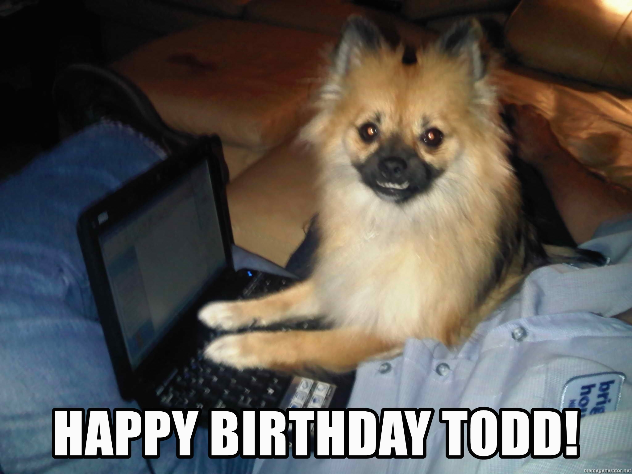 Pomeranian Birthday Meme Happy Birthday todd Pc Pomeranian Meme Generator