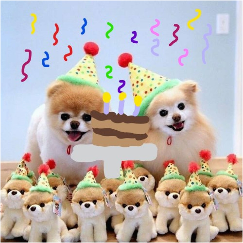 Pomeranian Birthday Meme sozdat Mem Quot S Dnyom Shpica S Dnyom Shpica Boo Birthday