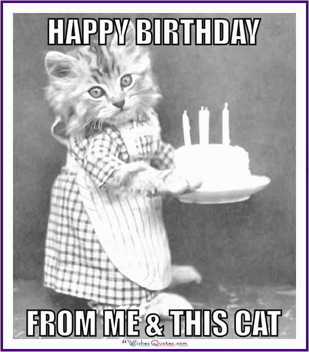 Really Funny Happy Birthday Memes Happy Birthday Memes with Funny Cats Dogs and Cute Animals