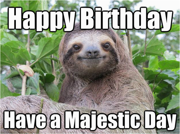 Sloth Happy Birthday Meme Happy Birthday Have A Majestic Day Stoned Sloth Quickmeme