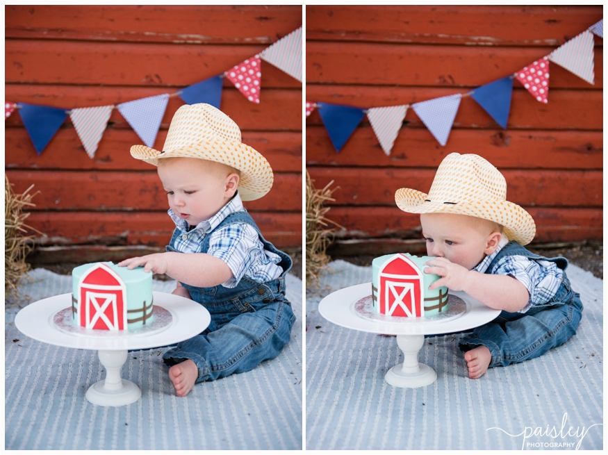 Birthday Ideas for Him Calgary Calgary Cake Smash Photography Kaleb 39 S Barn Yard theme