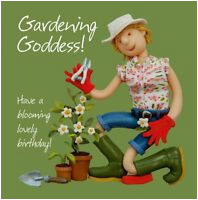 Self Inflating Happy Birthday Banner Card Factory Funny Guinea Pig Birthday Card What A whopper Vegetable Self Inflating Happy Birthday Banner Card Factory Funny Guinea Pig Birthday Card What A whopper Vegetable