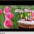 123greetings Birthday Cards for Friend Birthday for Your Friends Cards Free Birthday for Your
