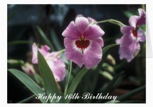 16th Birthday Flowers Happy 16th Birthday Cards Happy 16th Birthday Card