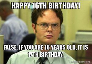 16th Birthday Meme Happy 16th Birthday False if You are 16 Years Old It is
