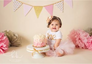 1st Birthday Girl Photoshoot Kristi Kruse Photography Raleigh Newborn Photographer