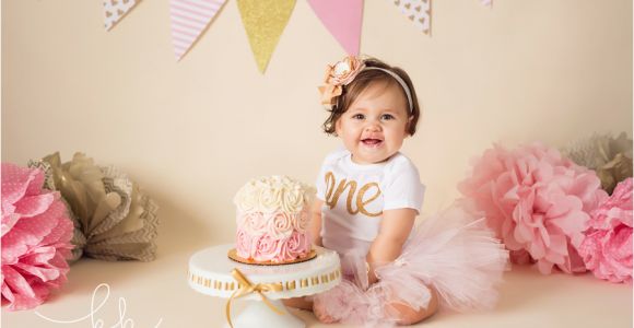 1st Birthday Girl Photoshoot Kristi Kruse Photography Raleigh Newborn Photographer