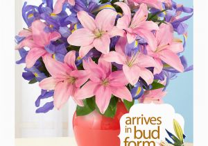 25th Birthday Flowers 25th Anniversary Flower and Meaning Anniversary Gifts by