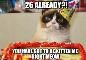 26 Birthday Meme 26 Already Grumpy Cat Birthday Meme On Memegen