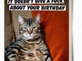 26 Birthday Meme Best 26 Cat Birthday Meme 10 so Peachy