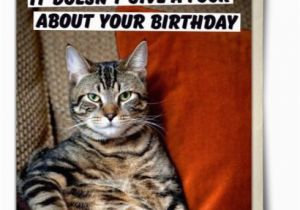 26 Birthday Meme Best 26 Cat Birthday Meme 10 so Peachy
