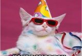 26 Birthday Meme Happy Birthday Wiches Best 26 Cat Birthday Meme