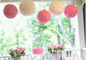 2nd Birthday Decorations for Girl Ruffles and Roses Second Birthday Party Pizzazzerie