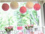 2nd Birthday Decorations Girl Ruffles and Roses Second Birthday Party Pizzazzerie