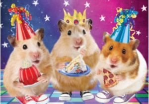 3d Holographic Birthday Cards 3d Holographic Hamster Disco Birthday Card Cards Love