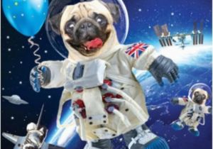 3d Holographic Birthday Cards 3d Holographic Pug In Space Birthday Card Cards Love Kates