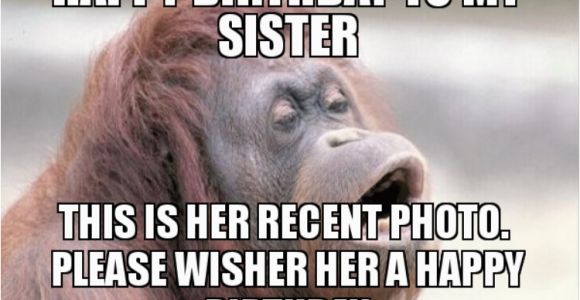 43 Birthday Meme 47 Amusing Sister Birthday Meme Graphics Photos Wishmeme