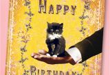 50s Birthday Card 50s Sweet Kitten Happy Birthday Greeting Card
