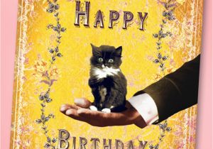 50s Birthday Card 50s Sweet Kitten Happy Birthday Greeting Card