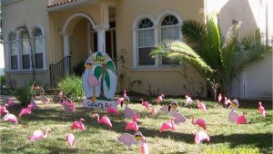 50th Birthday Yard Decorations Flock N Surprise 727 687 8111 Largo Florida Www