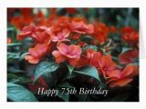 75th Birthday Flowers Happy 75th Birthday Flower Card Zazzle