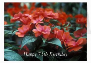 75th Birthday Flowers Happy 75th Birthday Flower Card Zazzle
