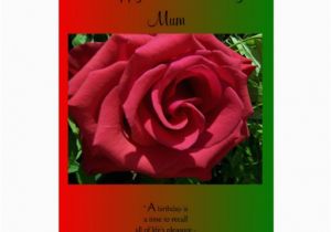 80th Birthday Cards for Mom An 80th Birthday Card for A Mother Rose Zazzle