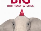 Alabama Birthday Cards Happy Birthday From Ua Undergraduate Admissions the