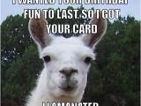 Alpaca Birthday Meme Happy Birthday Funny Llama Google Search Llama