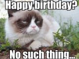 Angry Cat Birthday Meme 100 Best Happy Birthday Cat Memes Images