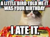 Angry Cat Birthday Meme A Little Bird told Me It Was Your Birthday On Memegen