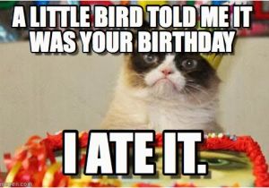 Angry Cat Birthday Meme A Little Bird told Me It Was Your Birthday On Memegen