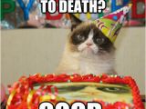 Angry Cat Birthday Meme Another Year Closer to Death Good Grumpy Cat Birthday