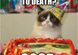 Angry Cat Birthday Meme Another Year Closer to Death Good Grumpy Cat Birthday