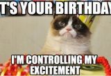 Angry Cat Birthday Meme Best Happy Birthday Cat Meme