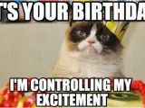 Angry Cat Birthday Meme Best Happy Birthday Cat Meme