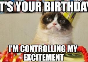 Angry Cat Birthday Meme Best Happy Birthday Cat Meme