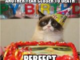 Angry Cat Birthday Meme Grumpy Cat Birthday Dump A Day