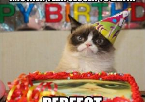 Angry Cat Birthday Meme Grumpy Cat Birthday Dump A Day