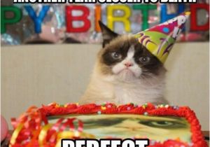 Angry Cat Birthday Meme Grumpy Cat Birthday Dump A Day