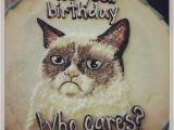 Angry Cat Birthday Meme Grumpy Cat Cakes Caterville