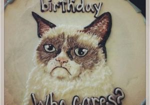 Angry Cat Birthday Meme Grumpy Cat Cakes Caterville